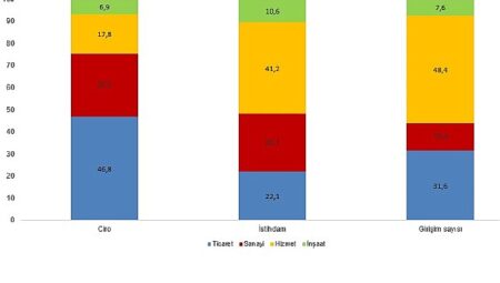 Yıllık Sanayi ve Hizmet İstatistikleri, 2025