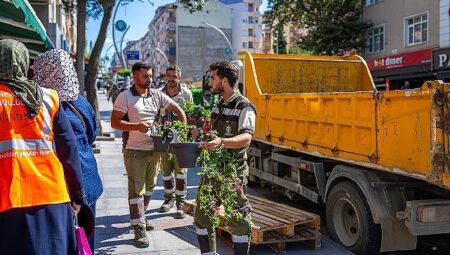 Balkonlar çiçek açıyor, komşuluk güzelleşiyor