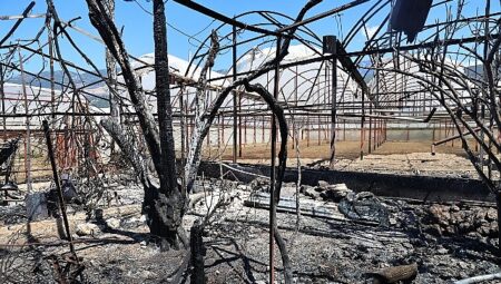 Büyükşehir Kaş’ta yangınzedelerin yanında