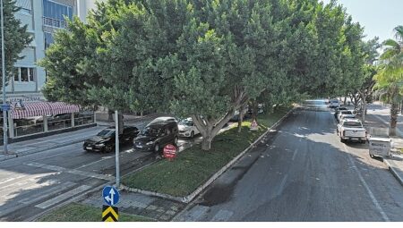 Büyükşehir’in hedefi daha az su ile daha fazla yeşil alan