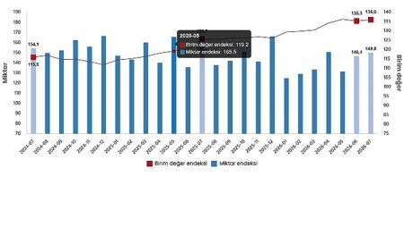 Dış Ticaret Endeksleri, Temmuz 2026