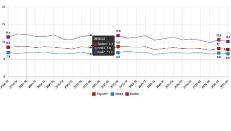 İşgücü İstatistikleri, Ağustos 2026