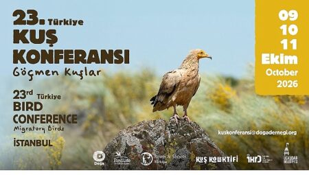 23. Türkiye Kuş Konferansı ‘Göçmen Kuşlar’ Temasıyla İstanbul’da Düzenlendi