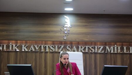 Başkan Vekili Özdemir’den Altıntaş açıklaması
