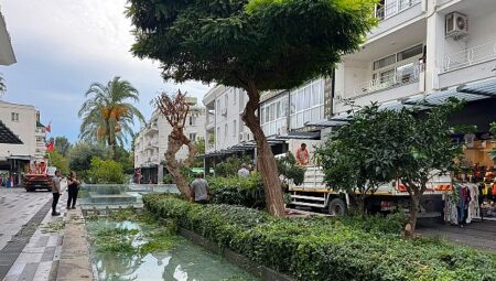 Kemer Liman Caddesi’nde kış öncesi bakım çalışması