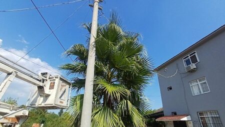 Kemer’de budama çalışmaları