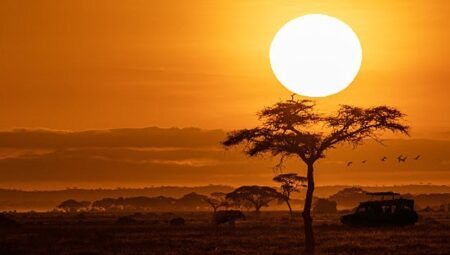 National Geographic NOW Seç-İzle Servisinin Ekim Ayı Teması ‘Afrika’!